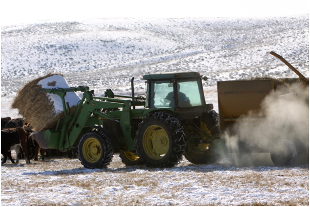 Sublette County Wyoming ranchers feed hay to cattle with a John Deere tractor in the winter