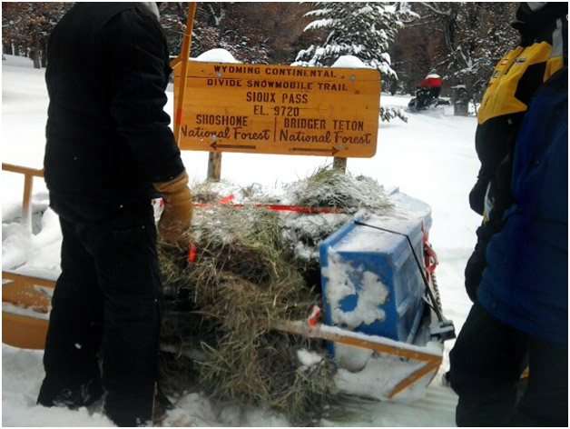 RealRanchers Jim and Timmery Hellyer rescue a stray heifer cow from the mountains in Wyoming using snowmobiles