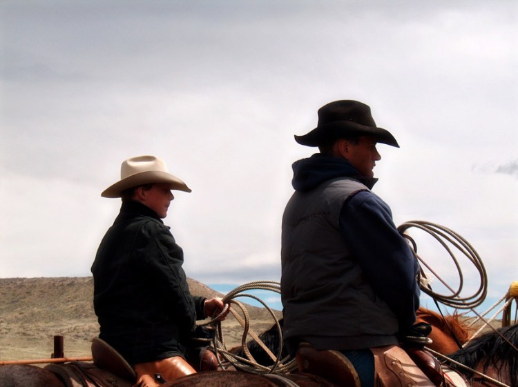 Hard-working agricultural producers work 24/7/365 raising high-quality, safe and nutritious products, all while properly caring for their livestock, the environment and contributing to their communities. Photo - www.cowgirlgraphics.net