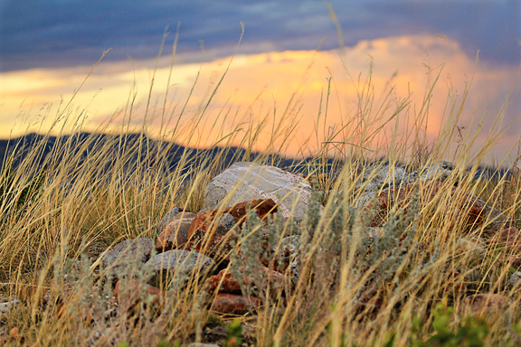 Wild Lands Order opposed in Wyoming