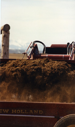 Ranchers practice manure management on their Pinedale, Wyo. cattle operation. Here Albert Sommers loads the manure spreader.