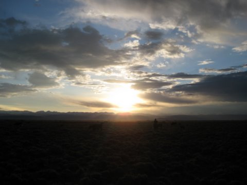 Early Morning on The Mesa (Photo by Gina Feltner)