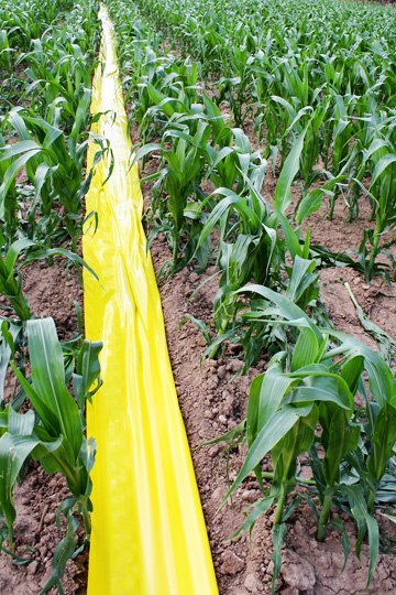 Plastic Ditch in the Field Farmers in Wyoming explain the use of plastic ditch in their irrigation systems