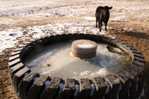 Providing water for livestock in Wyoming