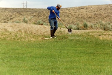 Rancher Jonita Sommers discusses irrigating native grass pastures in the Green River Valley of Wyoming, which can be used for pastureland or for hay production.