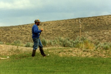 Rancher Jonita Sommers discusses irrigating native grass pastures in the Green River Valley of Wyoming, which can be used for pastureland or for hay production.