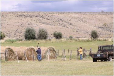 Rancher Albert Sommers fixes fence on his ranch in the Green River Valley of Wyoming. Fencing on ranching operations is a constant job.