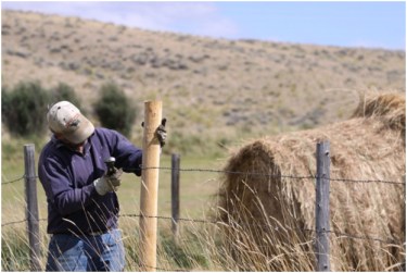 Rancher Albert Sommers fixes fence on his ranch in the Green River Valley of Wyoming. Fencing on ranching operations is a constant job.