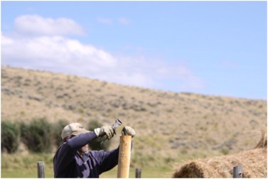 Rancher Albert Sommers fixes fence on his ranch in the Green River Valley of Wyoming. Fencing on ranching operations is a constant job.