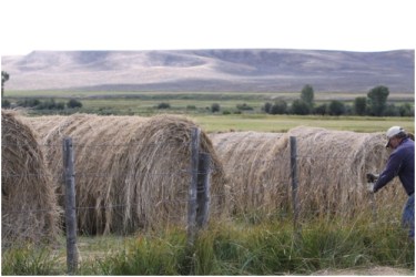 Rancher Albert Sommers fixes fence on his ranch in the Green River Valley of Wyoming. Fencing on ranching operations is a constant job.