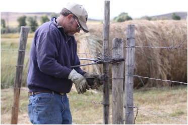 Rancher Albert Sommers fixes fence on his ranch in the Green River Valley of Wyoming. Fencing on ranching operations is a constant job.