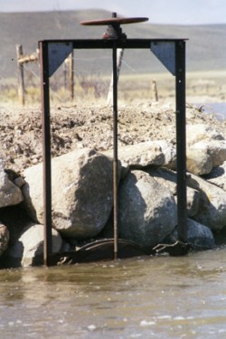 Rancher Jonita Sommers discusses irrigating native grass pastures in the Green River Valley of Wyoming, which can be used for pastureland or for hay production.
