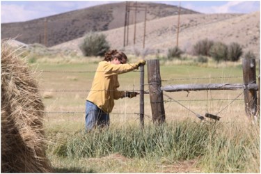 Rancher Albert Sommers fixes fence on his ranch in the Green River Valley of Wyoming. Fencing on ranching operations is a constant job.