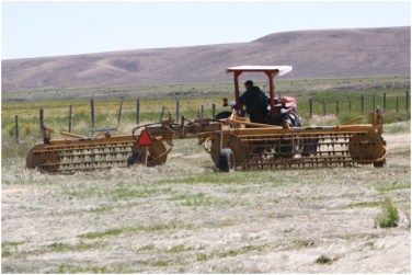 Wyoming ranchers put up hay in the Green River Valley to feed cattle in the Winter.