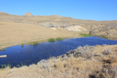 resevoir Coal-Bed Methane Reservoir