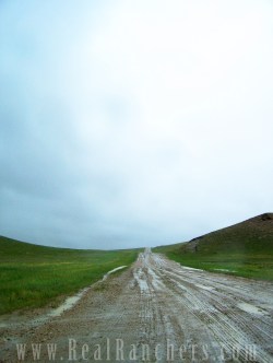 Rural roads are often upaved in Wyoming, so long dirt roads are the norm in country settings.