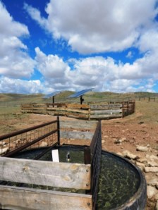 Dennis Sun of the Sun Ranch outside Casper Wyoming works to improve sage grouse habitat on his ranch through the Natural Resources Conservation Service Sage Grouse Initiative