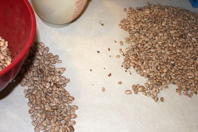 Clean Beans v Dirty Beans