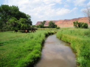 Historic guest cabin and enjoy two days of world-class trout fishing in beautiful Johnson County, Wyoming.