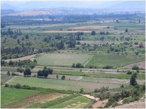 Elqui Valley south of Coquimbo, Chile where they grow all kinds of vegetables and fruits
