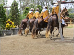 Estancia that raised Peruvian Paso horses
