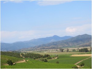 First valley east of Valparaiso, Chile where the Chilean wine and Pisco is made