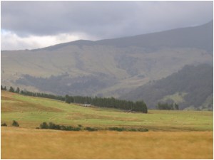 Hay on Northern Patagonia near capital of Patagonia—Chile