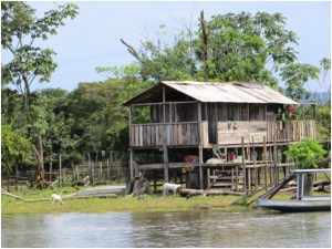 House along Amazon River near Santarem, Brazil