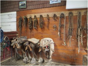 Tack room at ranch near Puerto Montt, Chile