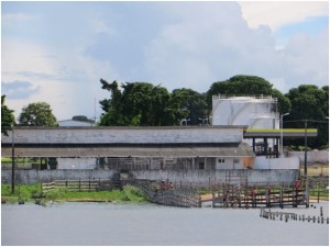 Where they unload the cattle from the barges to put on trucks at Santarem, Brazil