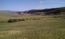 GameandFishirrigatedfields