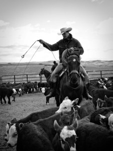 Building a Loop_edited