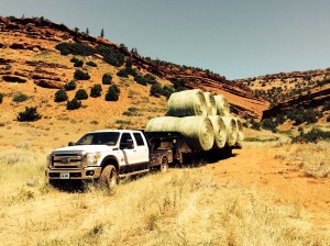 Hauling Hay