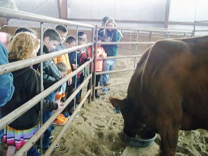 Sherri Cullen talks about cattle production at the 2014 Laramie Peak CattleWomen Ag Expo.