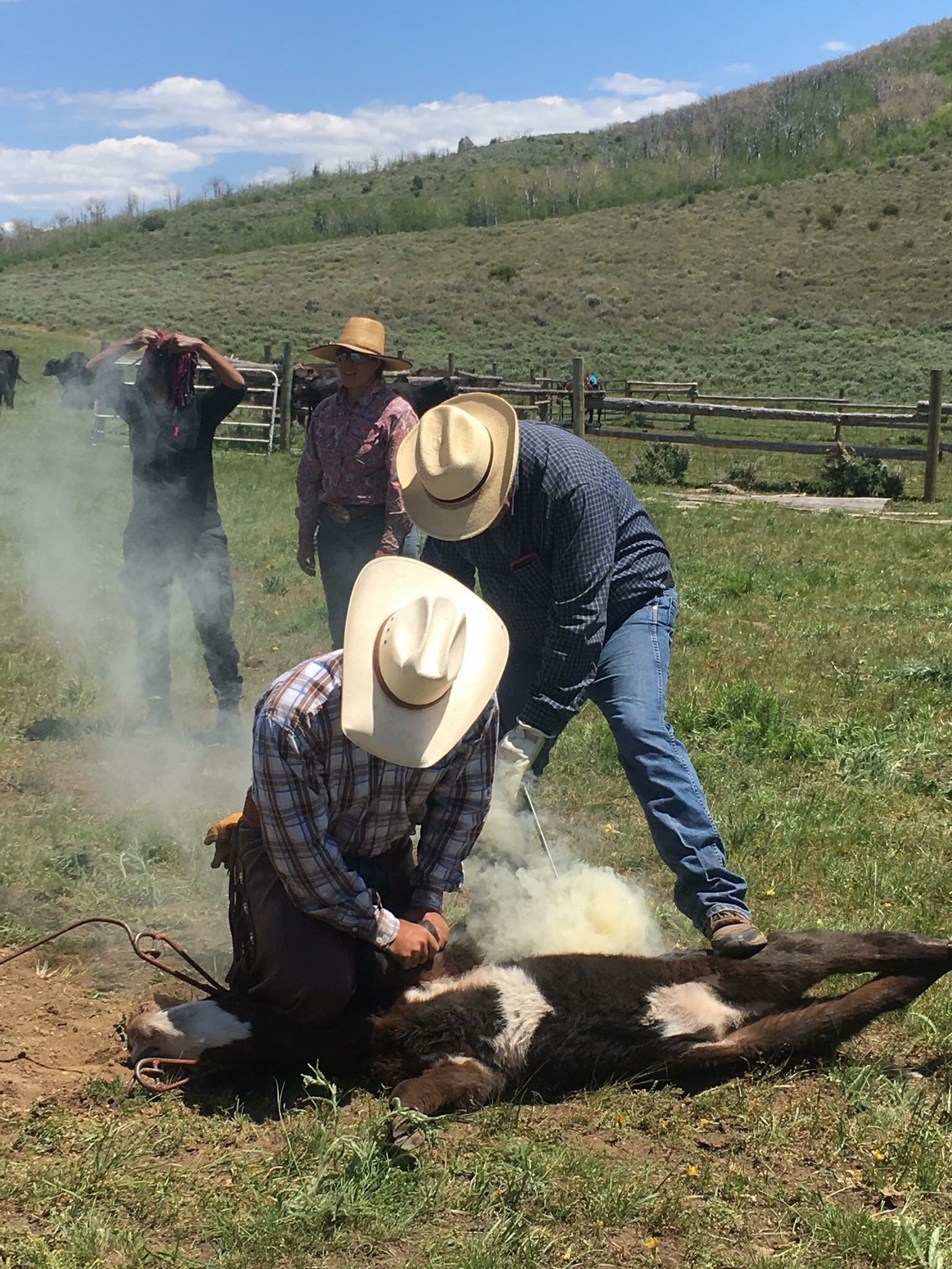 Tyler’s 1st Week at the Ladder Ranch – RealRanchers.com